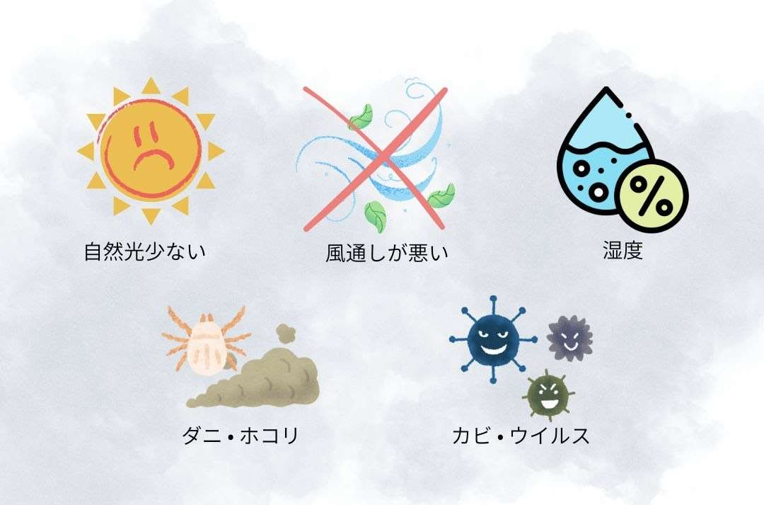 スイス漆喰がつくる空間